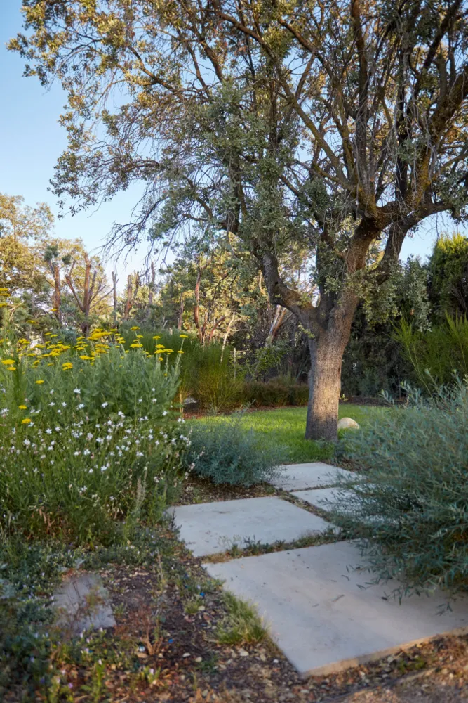JARDÍN LIBRE EN LAS ROZAS