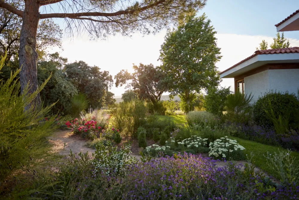 JARDÍN LIBRE EN LAS ROZAS