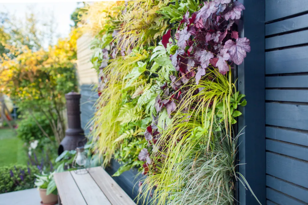Den underholdende terrasse
