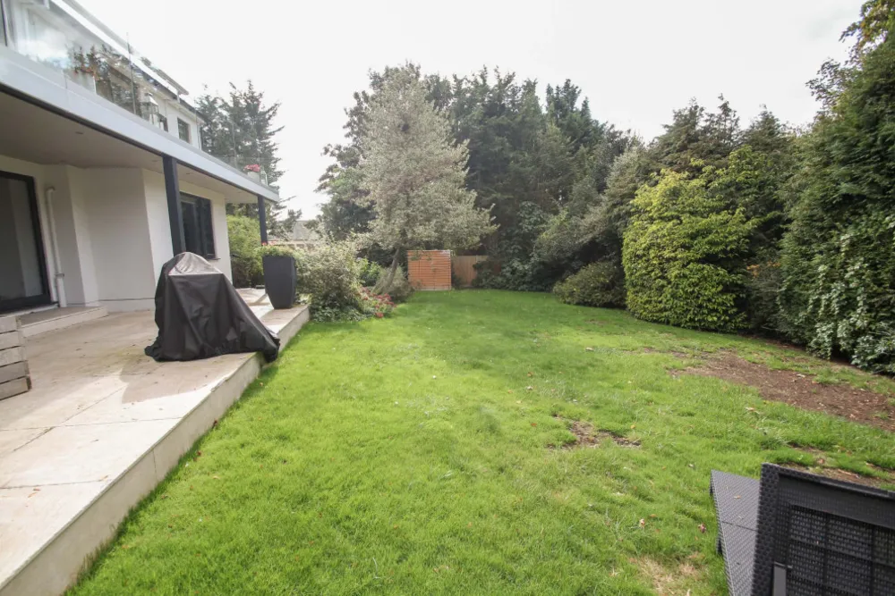 Container Bar Garden