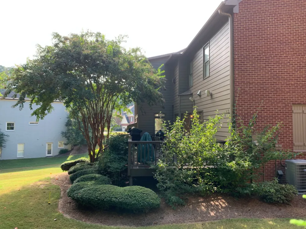 Ugens veranda: Forny Dunwoody