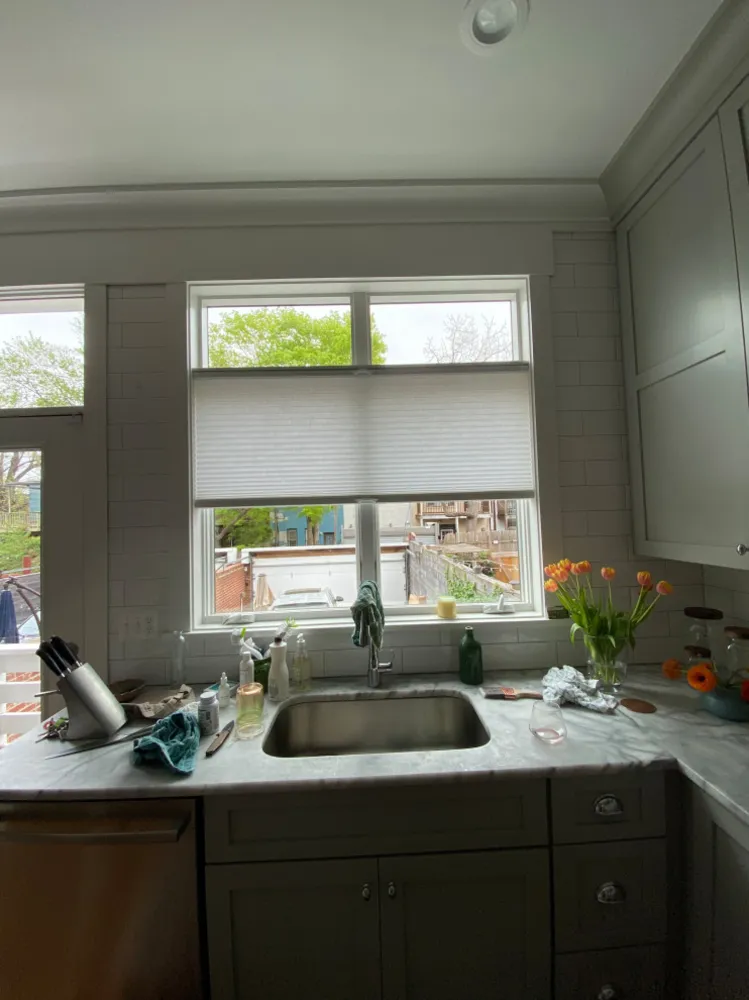 HT or KOTW Storie Collective