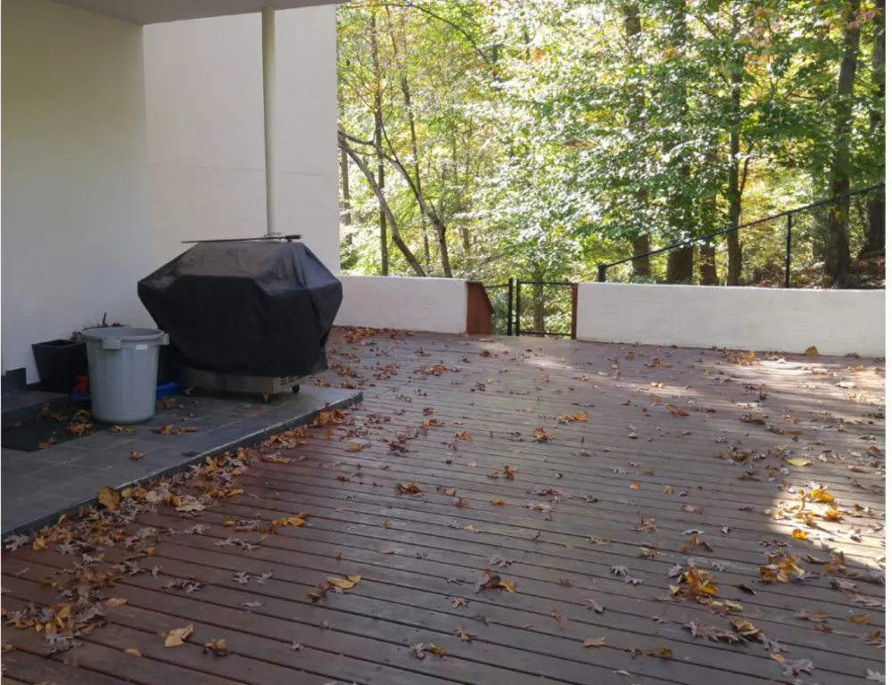 Talia tygodnia: Atlanta Boyce