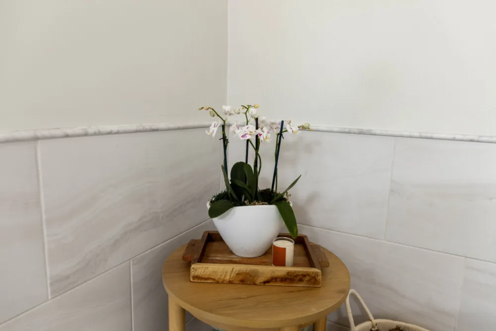 Sage Green Cabinet Master Bathroom Remodel