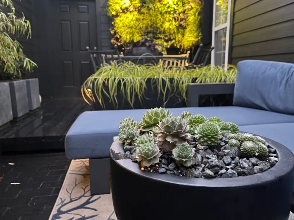 Davidson Townhome Avlusu, Fotoğraf Sonrası