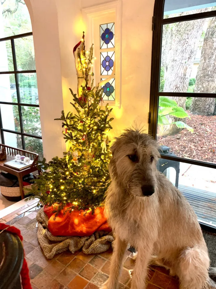 SHELL: Servista Kullanıcılarının Noel Ağaçları