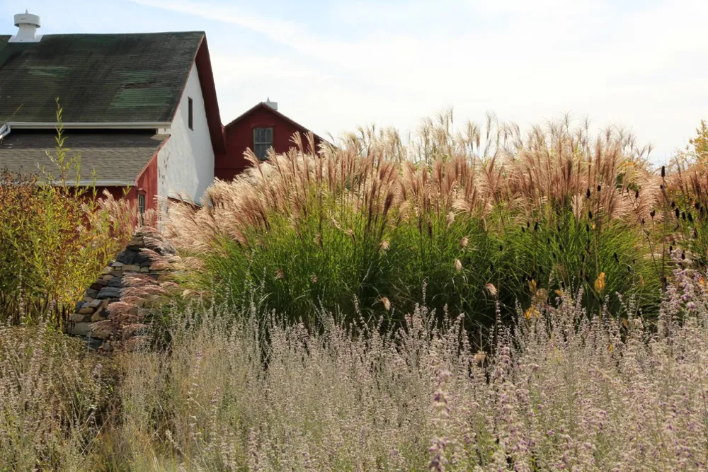The DPG Farm Gardens, East Vincent Township