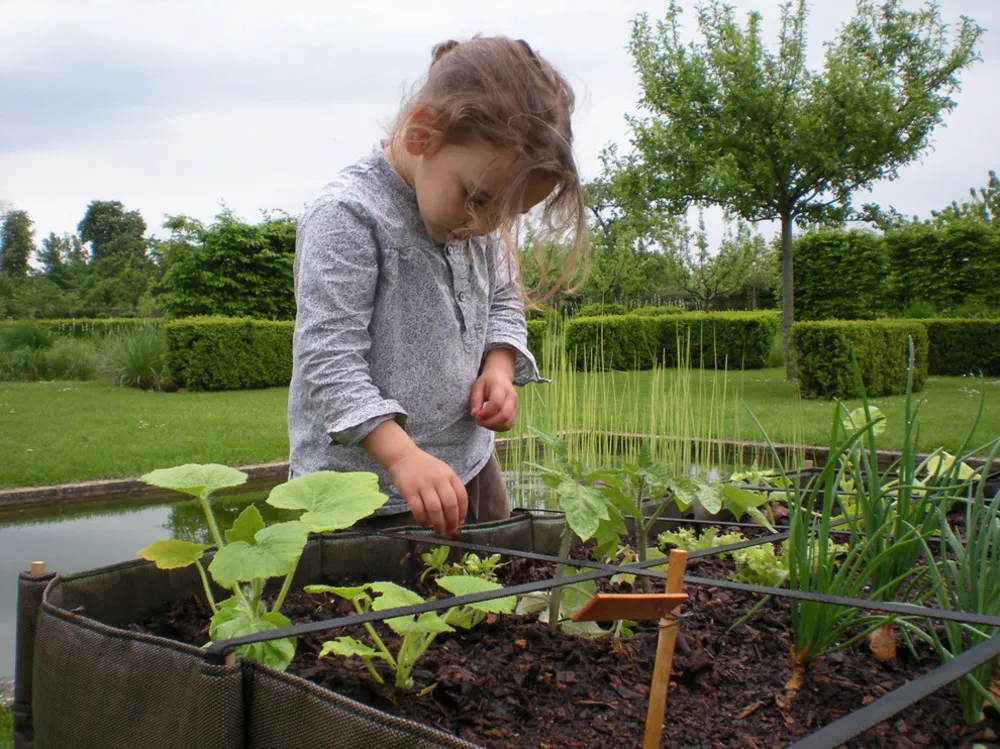 Carrés potager