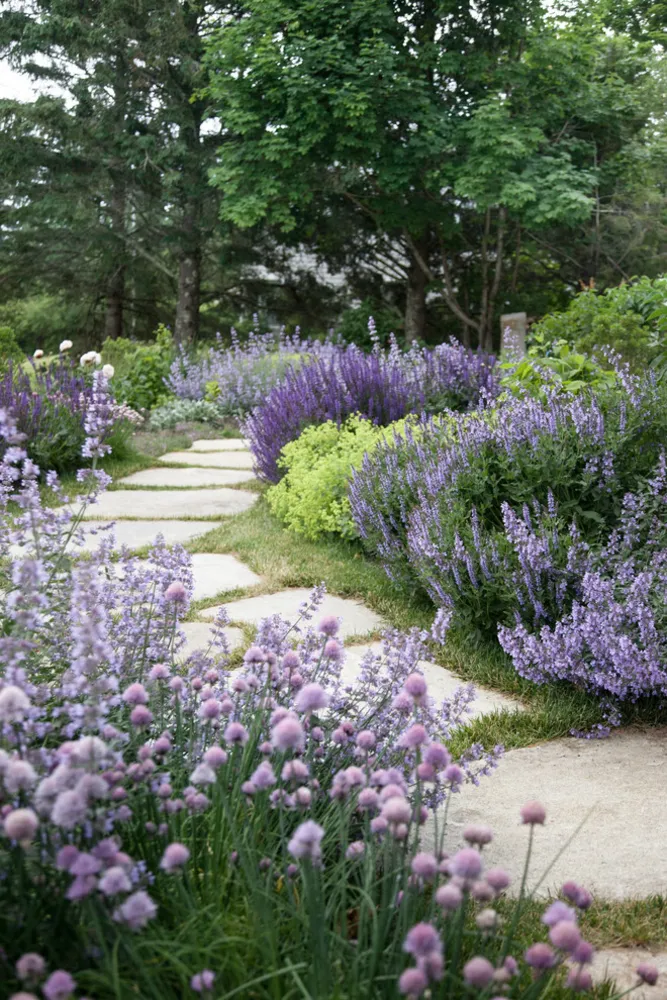 Clamshell Alley