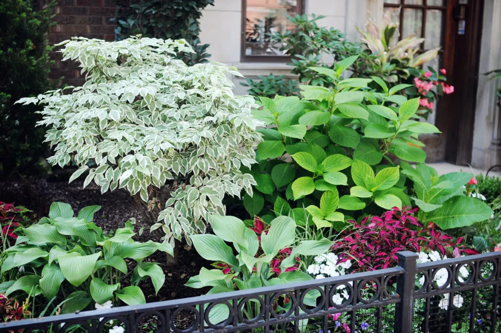 Kent Bahçeleri ve Manzaraları