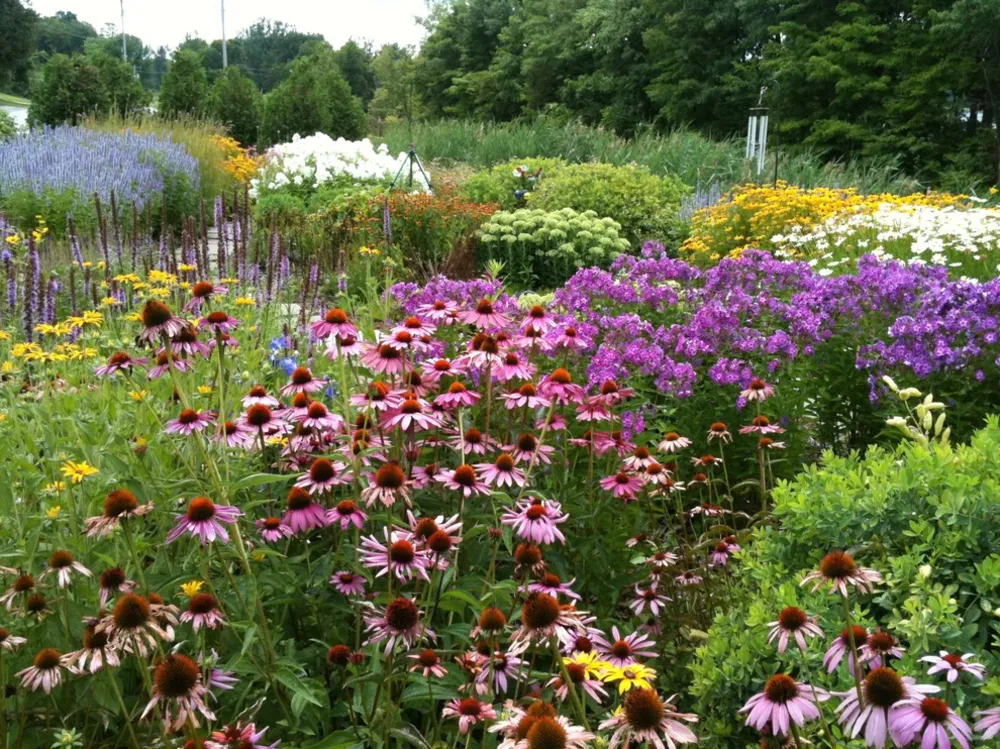 Sommerfuglehave