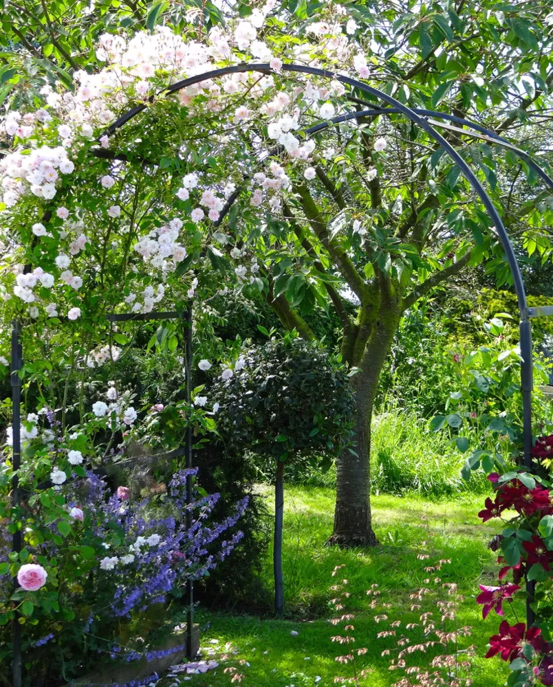 cottage garden