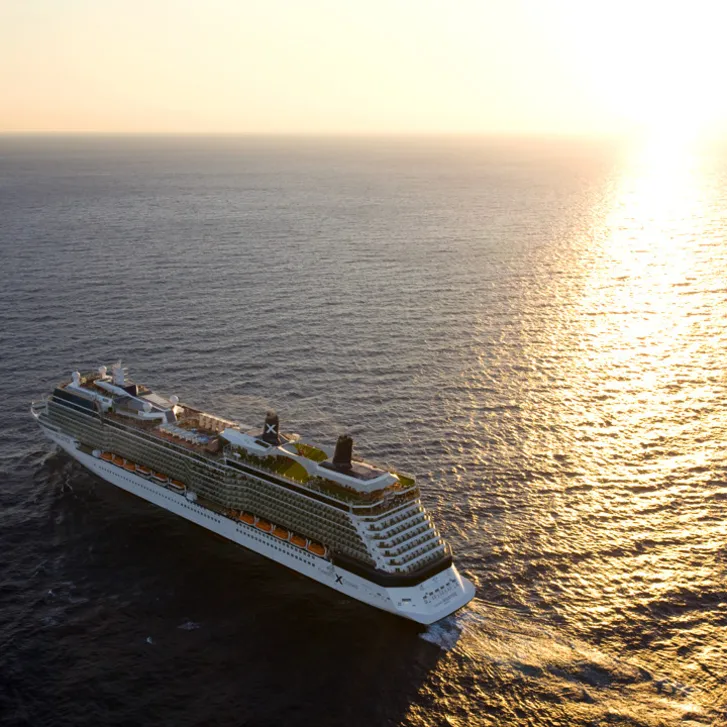 Aito ruoho julkkisristeilyaluksilla