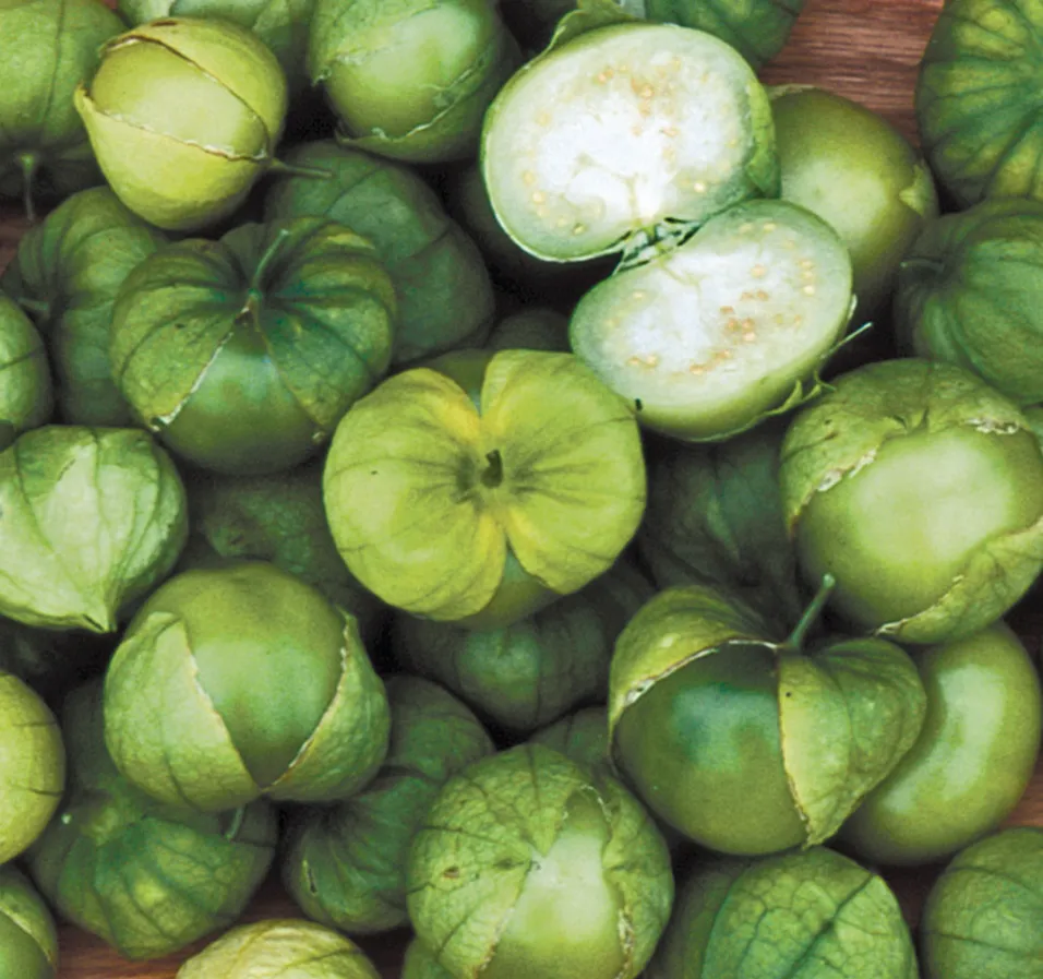Tomatillo