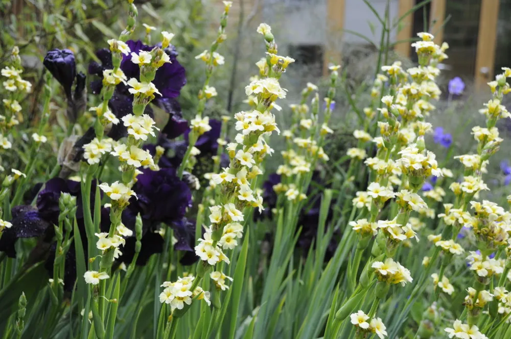 Londyński ogród miejski