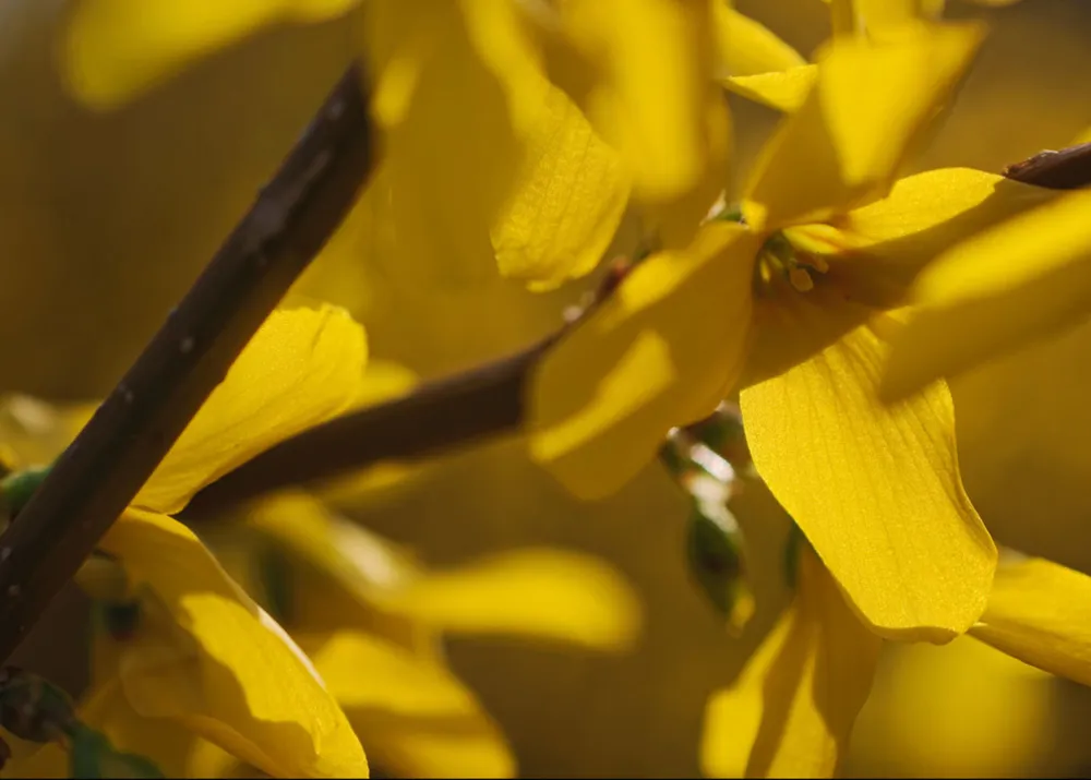 Luty Wielkich Jezior