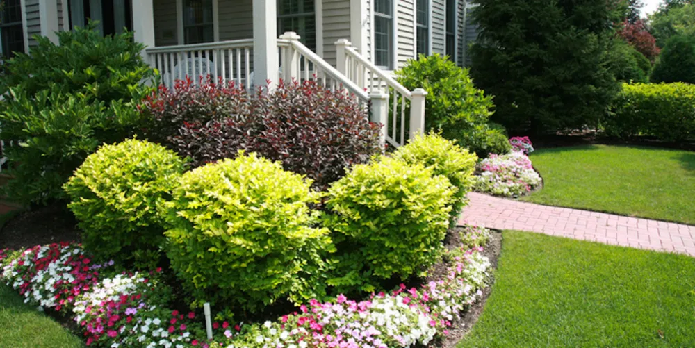 Diseño y construcción del paisaje