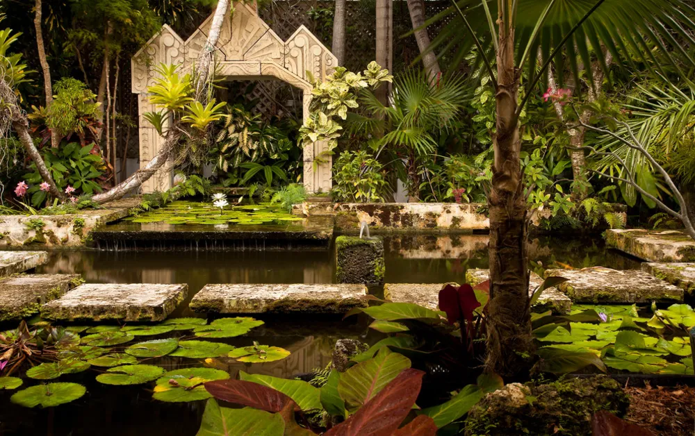 Lush Tropical Garden