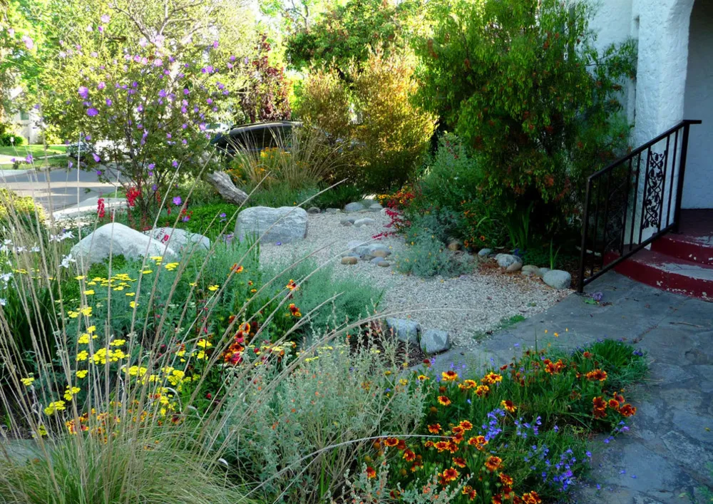 Native Plant Oasis