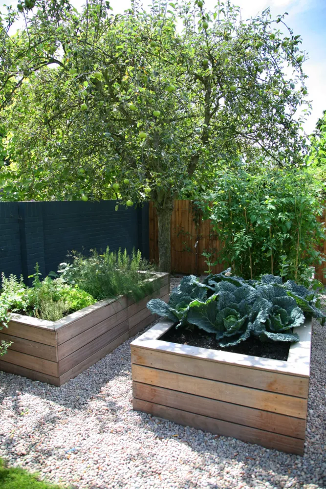 Trädgårdsdesign i Dulwich Village 8