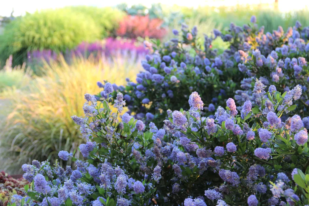 Beach House, Bainbridge Island
