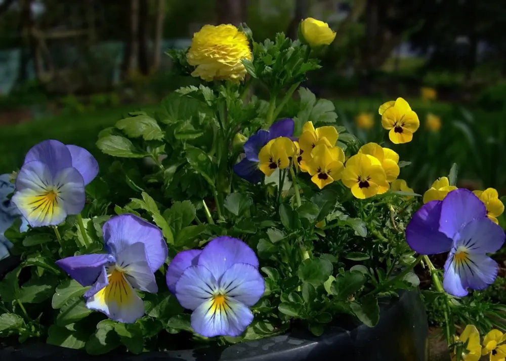 Великие озера, апрель