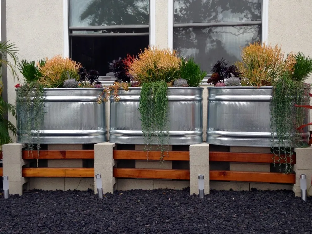 Dürretolerante Betonklotz-Pflanzlandschaft