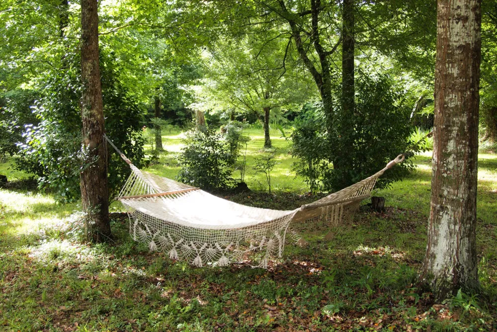 My Servista: Louisiana'daki Kırsal Ev