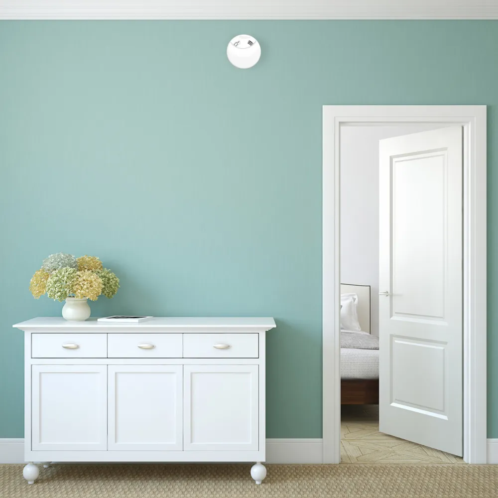 Новая краска, новые сигналы тревоги