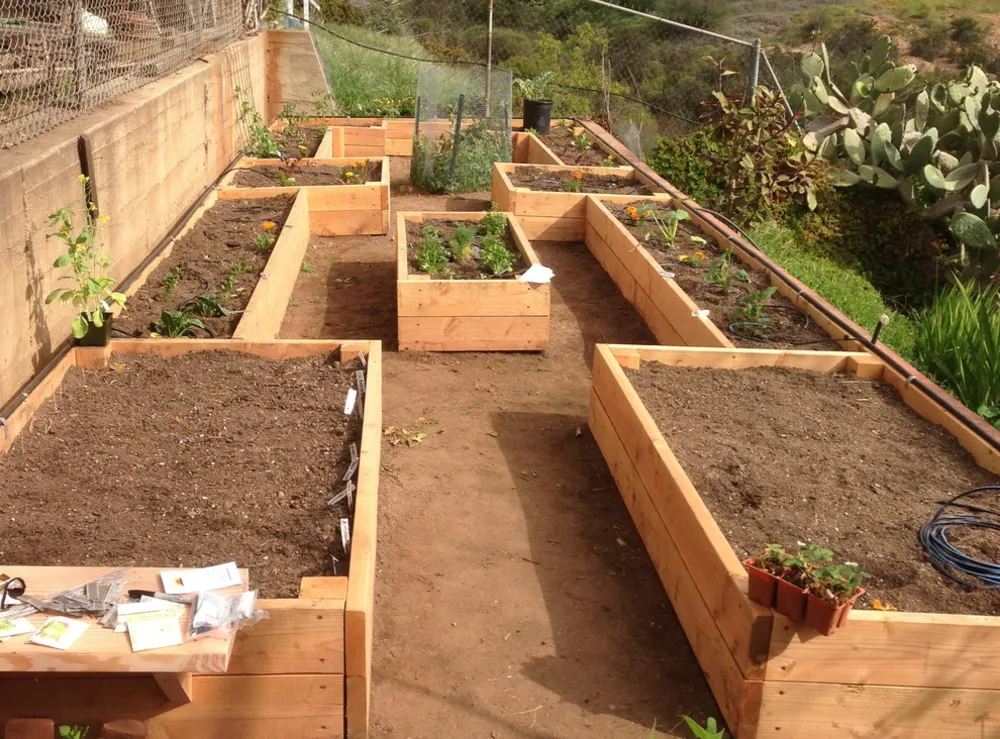 La Jolla Groente- en Kruidentuin