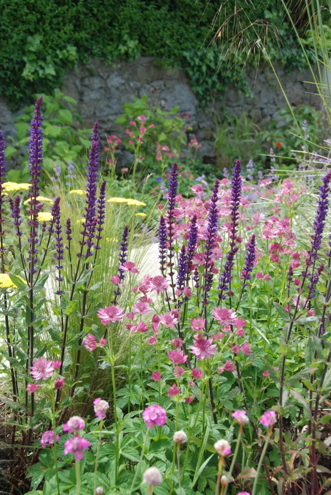 Glasthule Garden