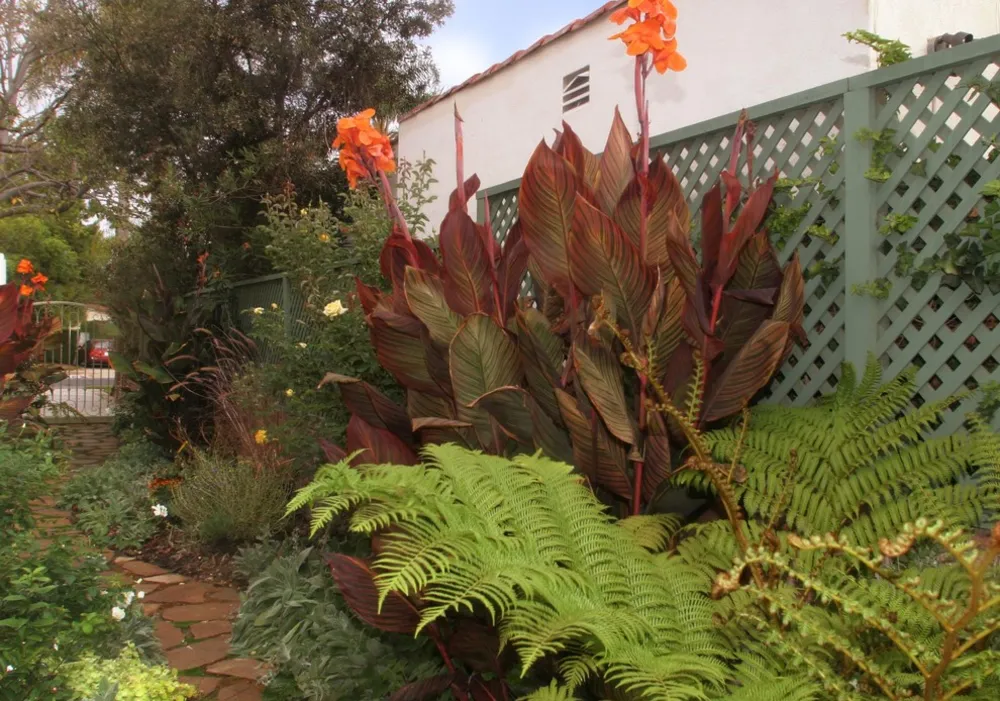 Cottage Garden Fusion