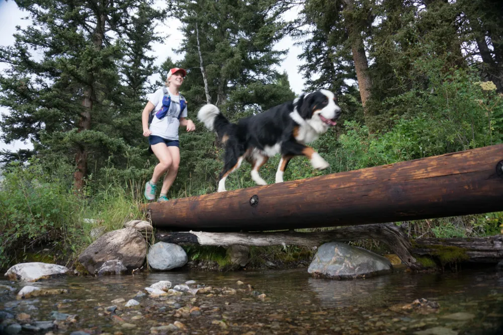 Seikkailunhakijat lähtevät tien päälle viihtyisässä koulubussikodissa