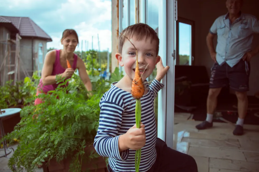 Chiamata sulla torta