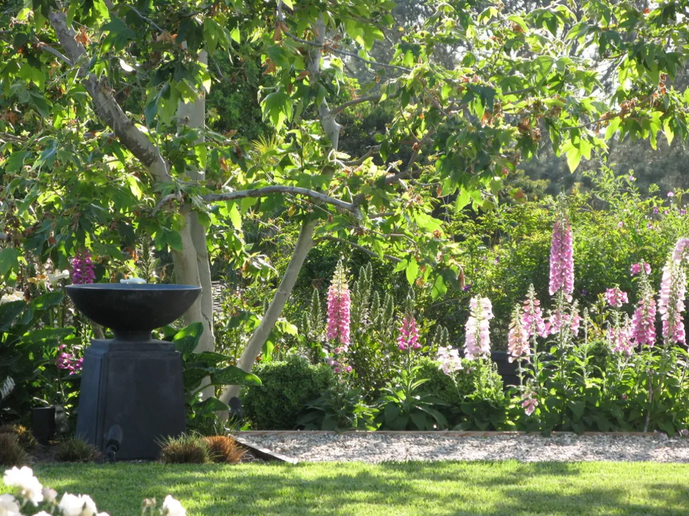 Solana Beach Elegance