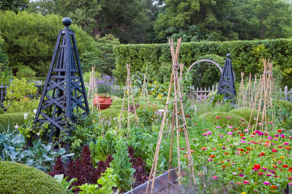 En utvikling for land og familie