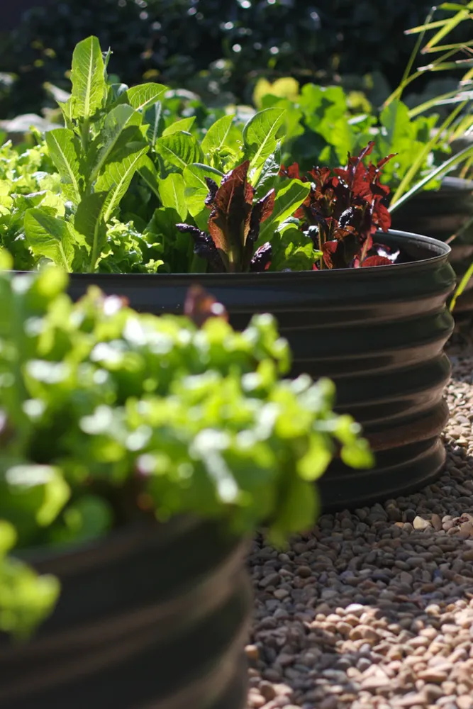 Ogród na wzgórzu myśliwych