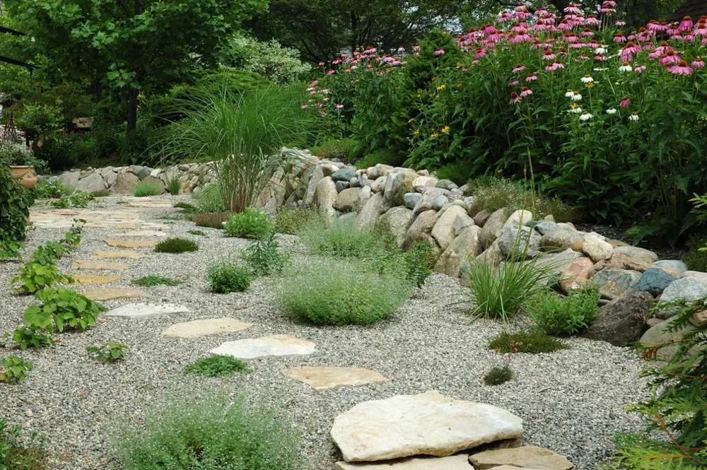 Gravel Garden and Grasses