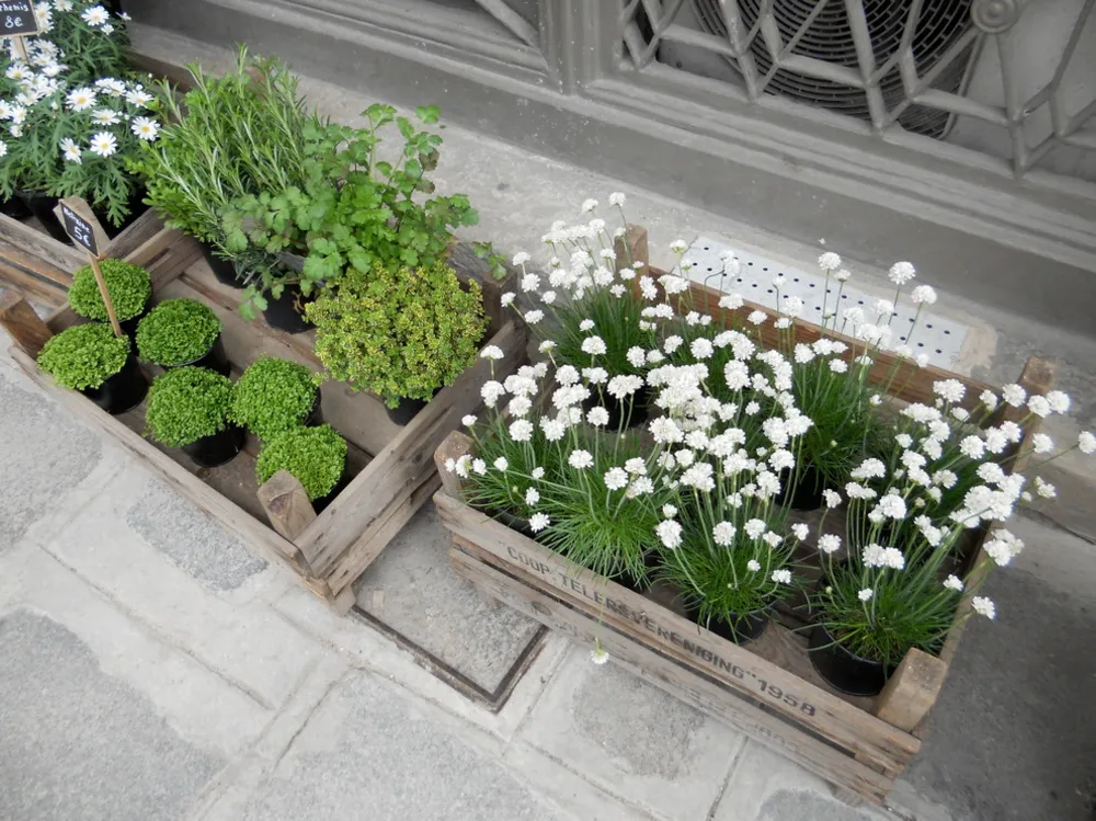 Prendi in prestito idee per il giardino dalla primavera a Parigi