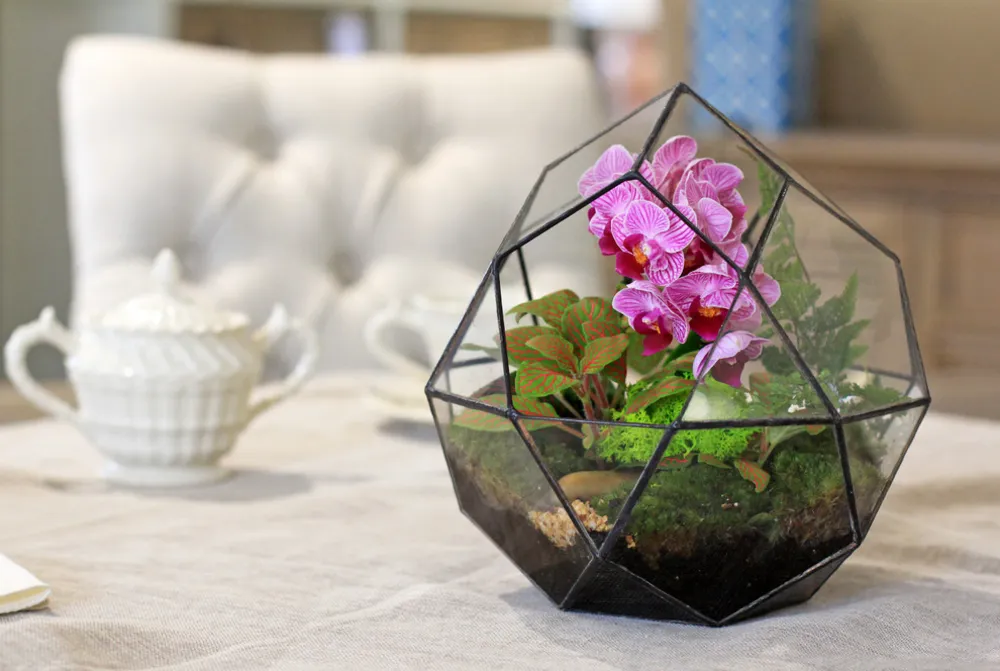 Флорариум "Вдохновение"