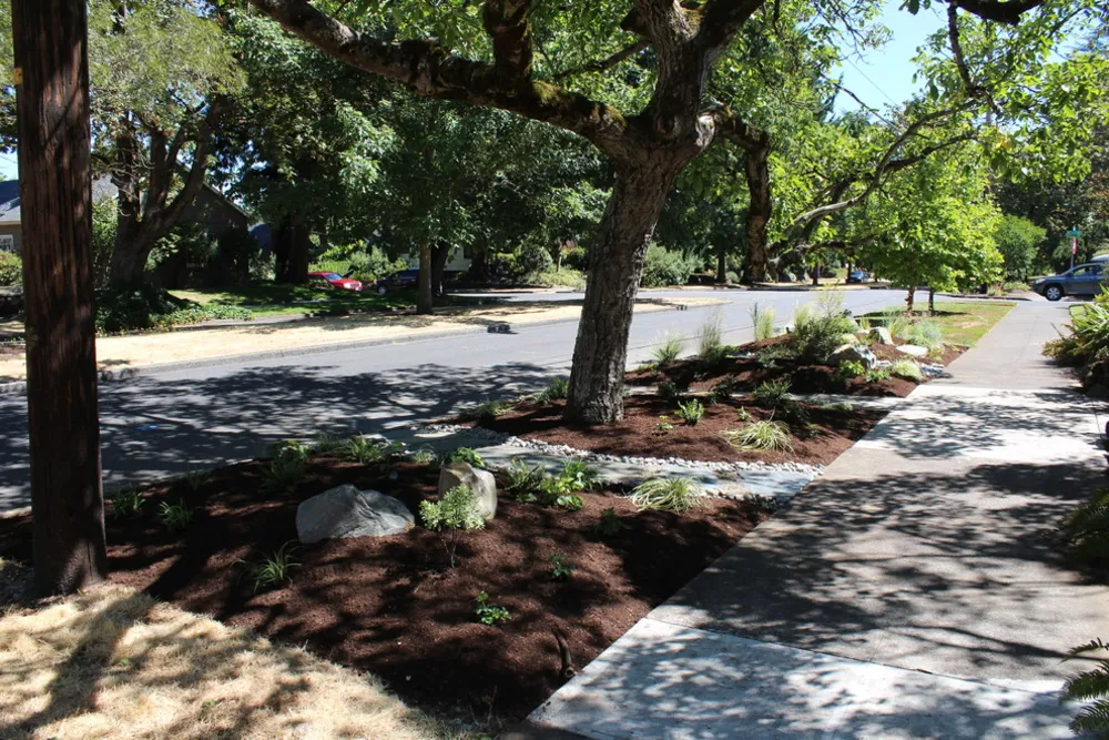 Zahrada pod černým ořechem