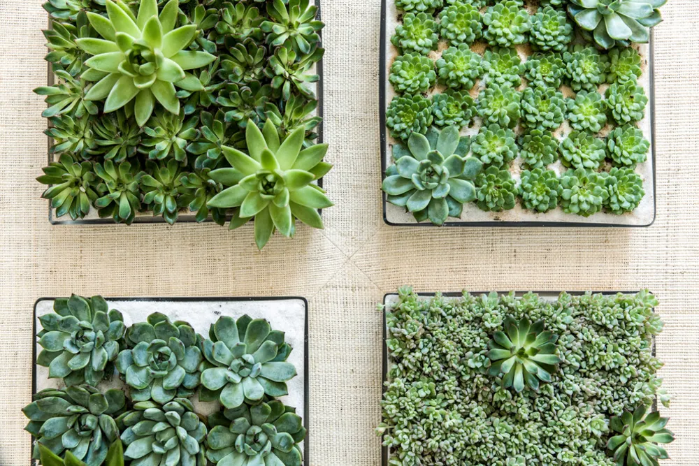 Westhampton Beach Playhouse