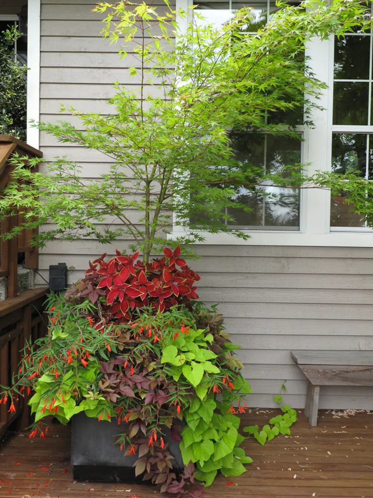 Высокая производительность, низкие эксплуатационные расходы