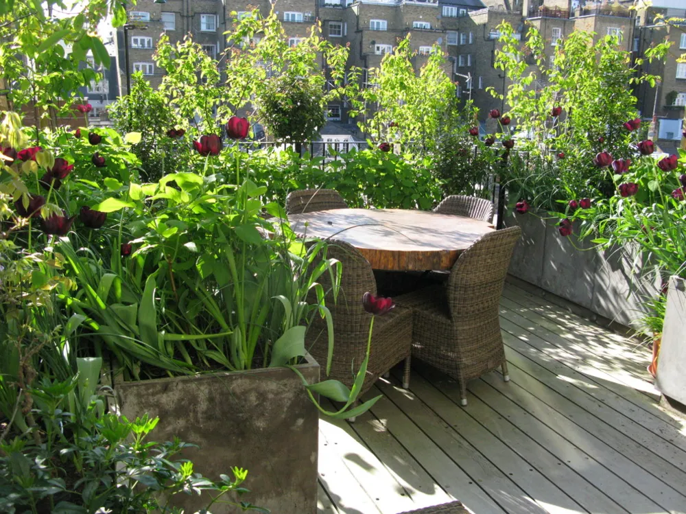 Kensington dakterras