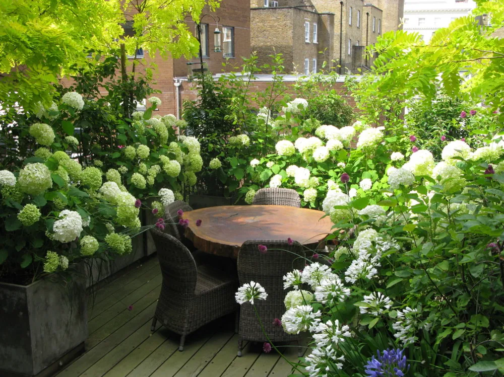 Kensington dakterras