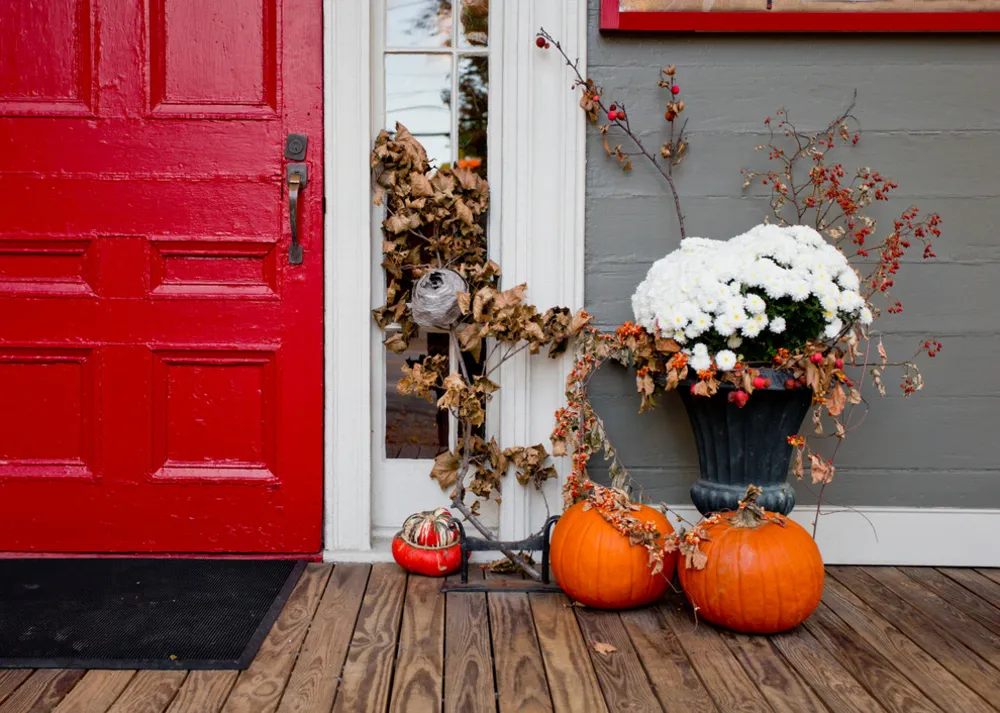 Servista TV: Take a Leaf-Peeping Road Trip in New England