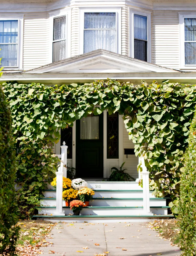 Servista TV: Take a Leaf-Peeping Road Trip in New England