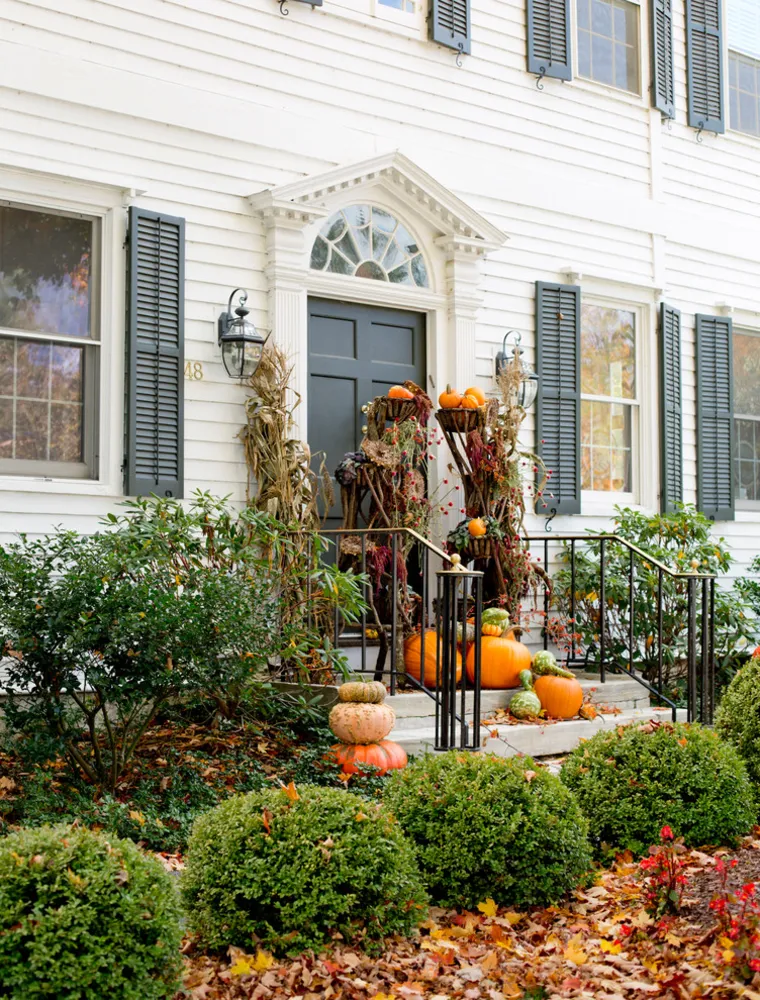 Servista TV: Take a Leaf-Peeping Road Trip in New England