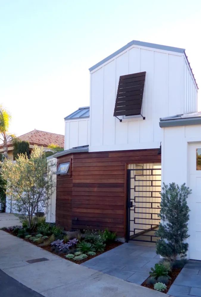 Piante grasse contemporanee