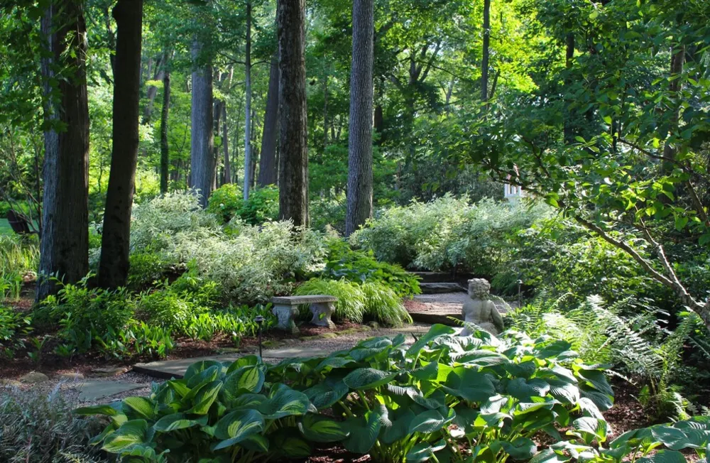 Klassinen Country White Garden Revisited